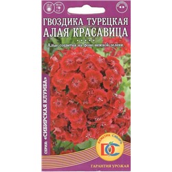 Цветы Гвоздика Турецкая Алая красавица (0,1г) Дем Сиб (мин.10шт.)