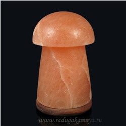 Светильник из гималайской соли гриб (12,5*12,5*20см)