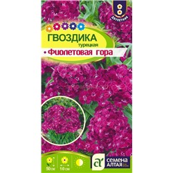 Гвоздика турецкая Фиолетовая гора (Алтай)