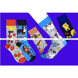 Nice Socks (AMIGOBS) ЦВЕТНЫЕ ВЫСОКИЕ НОСКИ на вешалке арт. 2209