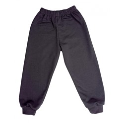 Спортивные штаны (5024/6) темно-серые