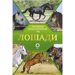 ПопулярныйИллюстрированныйГид Лошади (Спектор А.А.), (АСТ,ОГИЗ, 2023), 7Б, c.192