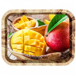 Поднос жестяной прямоугольный "Тропические фрукты" П332*258-01800
