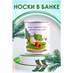 Носки мужские в банке №GL1703 Змей