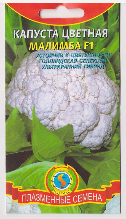 Голландская цветная капуста. Малимба цветная капуста. Капуста голландской селекции. Цветная капуста сорта голландской селекции.