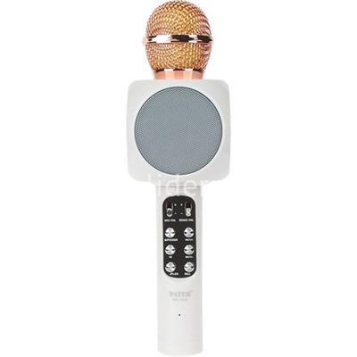 Колонка-микрофон (WS-1816ch) Bluetooth/USB/micro SD/FM/караоке/LED/меняет голос (белый)