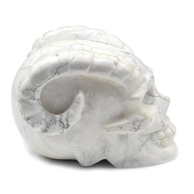 Резной череп с рогами из кахолонга "говлит" 91*63*68мм, 549г