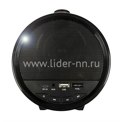 Портативная колонка DIALOG Progressive AP-1000 16Вт,Bluetooth/FM/USB/SD (черная)