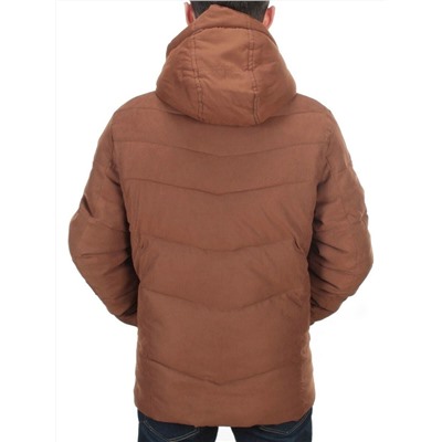 J8265 BROWN Куртка мужская зимняя NEW B BEK (150 гр. холлофайбер) размеры 46-48-50-52-54
