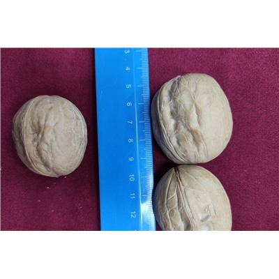 Грецкий орех неочищенный ЧИЛИ, 1 кг (очень крупный, легко вскрывается)