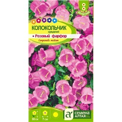 Колокольчик Розовый Фарфор сред (Алтай)