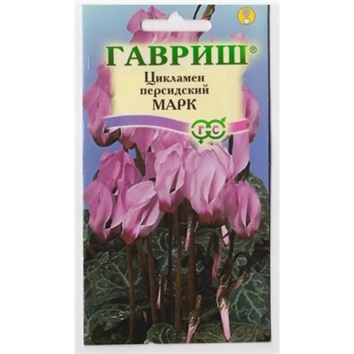 Цикламен Марк (Код: 3862)