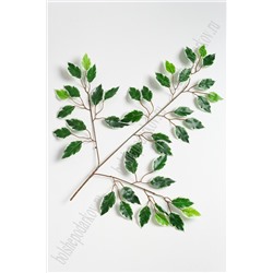 Веточка листьев "Фикус Бенджамина" (6 шт) SF-2556, зелено-белый