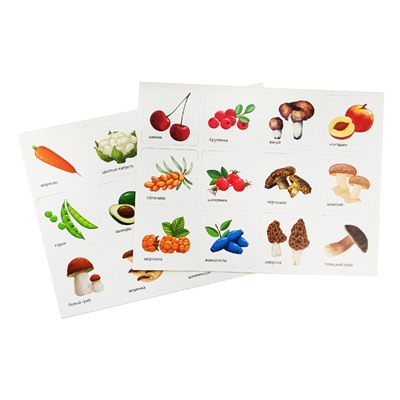 Развивающая игра для маленьких «Фрукты, ягоды, овощи, грибы». Серия Умный сортер
