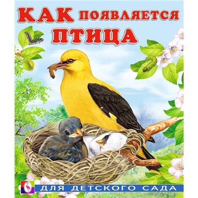 Кн. Как появляется... И.Гурина Как появляется птица 16 цв.стр. 16*20см  29258