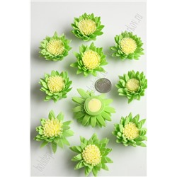 Головки цветов "Хризантема" двухцветная 4,5 см (30 шт) SF-2294, салатовый