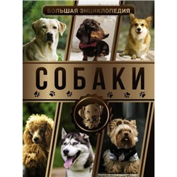 БольшаяЭнциклопедияУвлечений Барановская И.Г. Большая энциклопедия. Собаки, (АСТ, 2021), 7Б, c.192