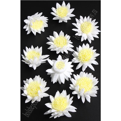 Головки цветов "Хризантема" двухцветная 4,5 см (30 шт) SF-2294, белый