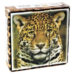 Детские пластмассовые кубики «Дикие кошки» (9 штук)