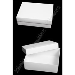 Коробка крафтовая 30*23*9 см (12 шт) SF-7167, белый