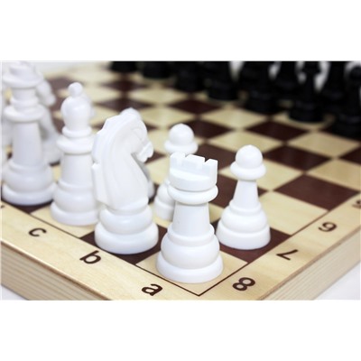 Игра настольная «Шахматы и шашки» пластмассовые (поле 29х29 см)