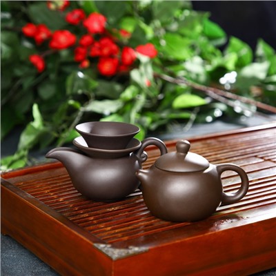 Набор для чайной церемонии керамический «Красная глина», 11 предметов: 8 пиал 50 мл, чайник 220 мл, чахай с фильтром 120 мл, цвет коричневый