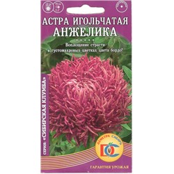 Цветы Астра Анжелика игольчатая (0,2г) Дем Сиб (мин.10шт.)