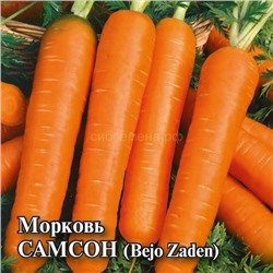 Ф Морковь Самсон (уп 500г) Бейо