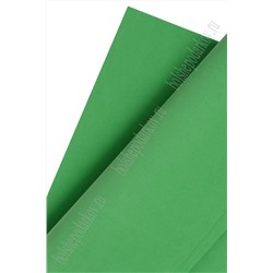 Фоамиран 1 мм, Китай 49*49 см (10 листов) SF-3431, зеленый №010