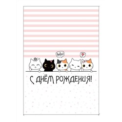 Пакет бумажный подарочный L "С Днем рождения. Пять котят" белый в розовую полоску 23x11x33 см (014)
