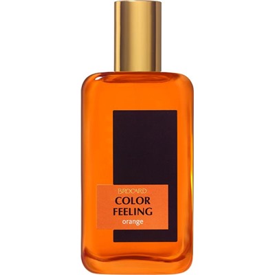 COLOR  FEELING ORANGE/муж edt M~