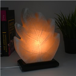 Солевая лампа "Лист" 160*80*210мм 2-4кг, свечение белое.