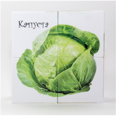 Детские пластмассовые кубики с картинками «Овощи» (4 штуки)