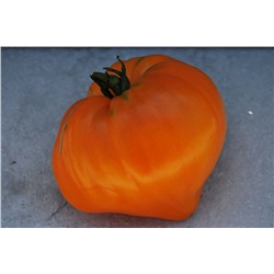 Томат Оранжевая ягода