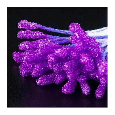 Тычинки на нитке Фиолетовые морозные, 50 шт