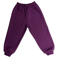 Спортивные штаны 5045/8 фиолетовый