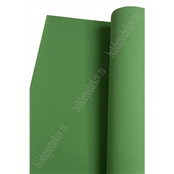 Фоамиран 1 мм, иранский 60*70 см (10 листов) темно-зеленый №179