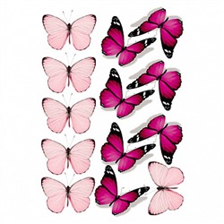 Бабочки №3, картинка на вафельной бумаге 20*30 см