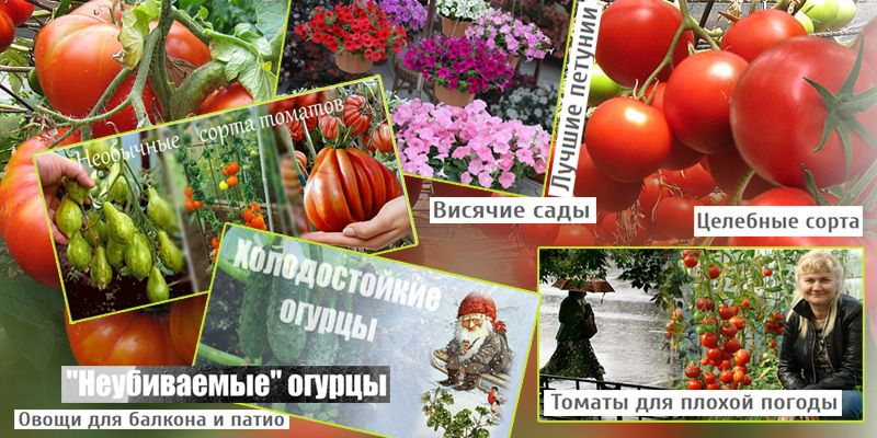 Биотехника семена официальный сайт интернет магазин москва страны легализация марихуана