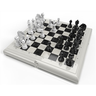 Шашки-Шахматы в серой пластиковой коробке (большие)