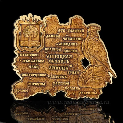 Магнит из бересты г. Липецк "Карта" 82*68мм вставка золотистая