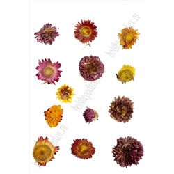 Сухоцветы "Цветы" 50 гр (ВР-429) ассорти